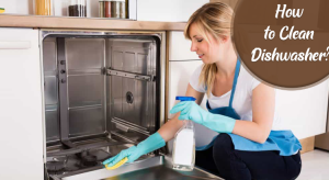 Deep Cleaning the Dishwasher